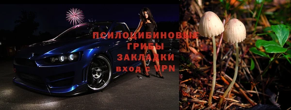 стаф Новосибирск
