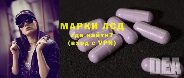 стаф Новосибирск