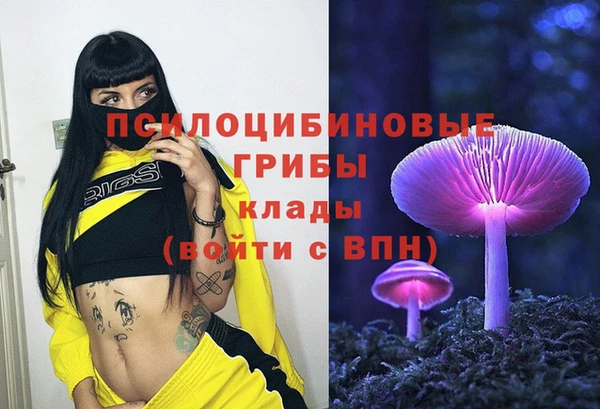 спайс Санкт-Петербург