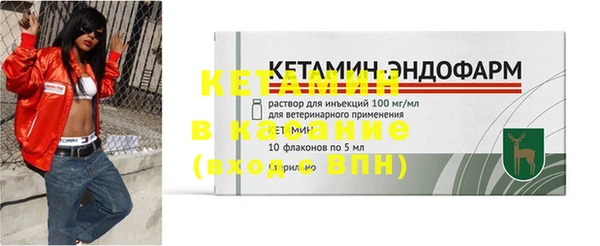 стаф Новосибирск