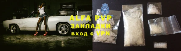стаф Новосибирск