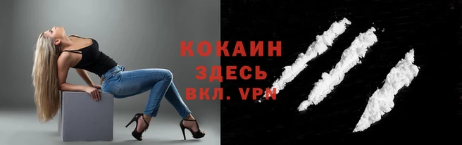 спайс Санкт-Петербург