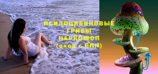 стаф Новосибирск