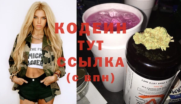 стаф Новосибирск