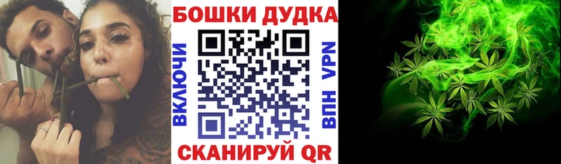 Купить где  Абинск  Бошки Шишки ГИДРОПОН 